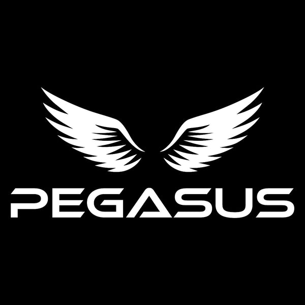 Pegasus Gym Store