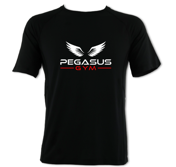 Adult Men's Cool Dry T-Shirt