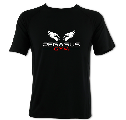 Adult Men's Cool Dry T-Shirt