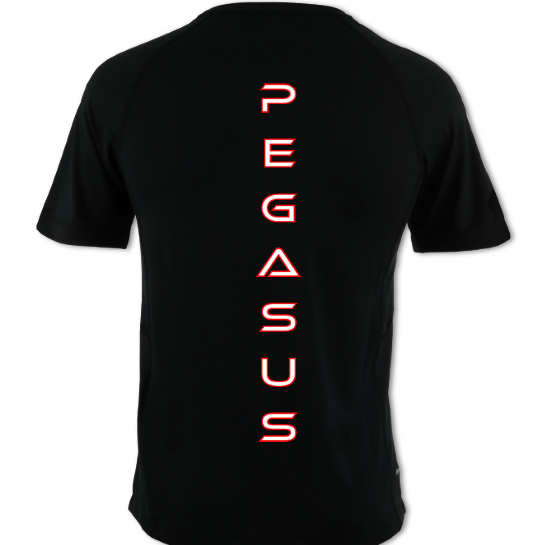 Adult Men's Cool Dry T-Shirt