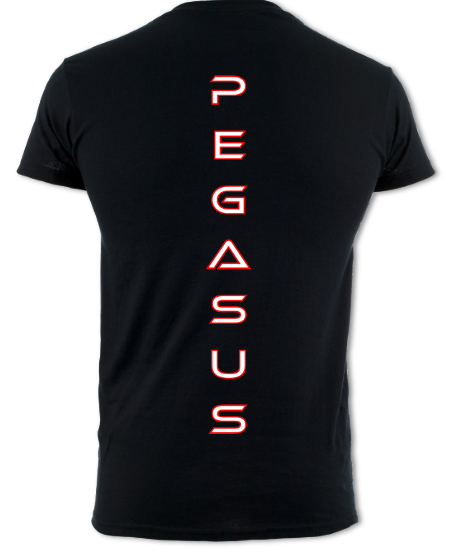 Adults Unisex T-Shirt (Cotton)