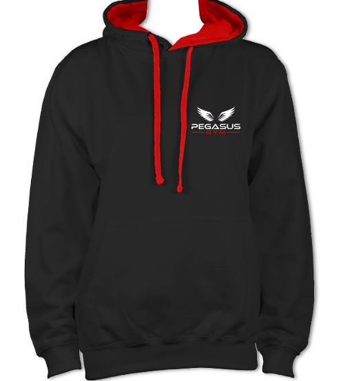 Unisex Pegasus Hoodie