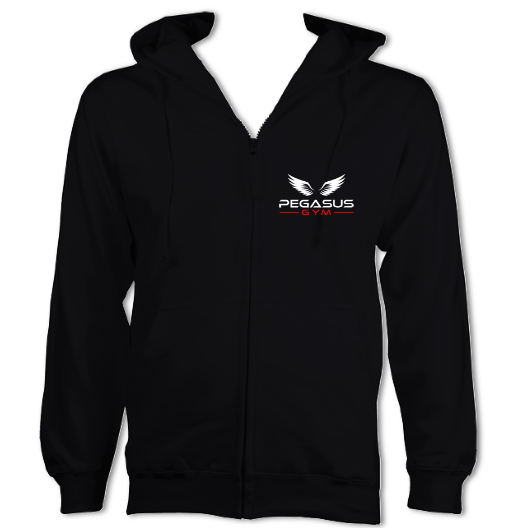 Pegasus Kids Zip Up Hoodie