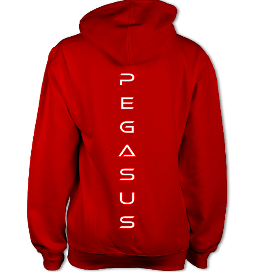 Unisex Pegasus Hoodie