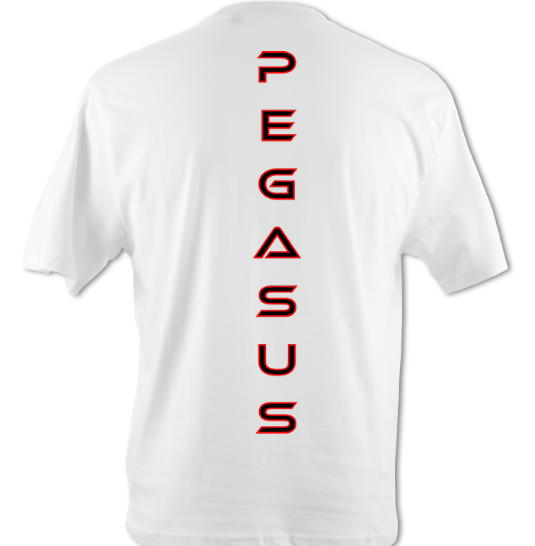 Pegasus Legends T-Shirt - (Oversized)