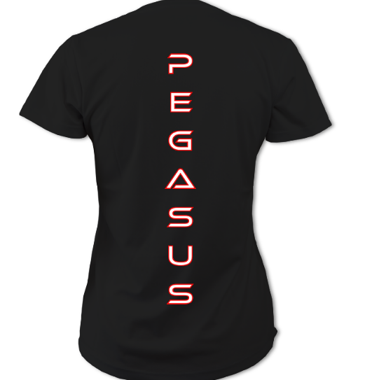 Women's Technical Sports T-Shirt