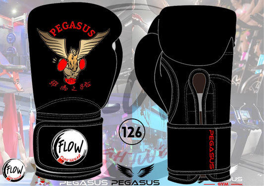 Pegasus Gym - 10oz Boxing Gloves (Combat Logo)