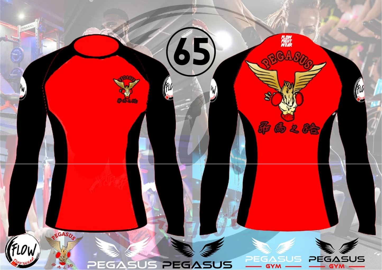 Pegasus Gym - RashGuard