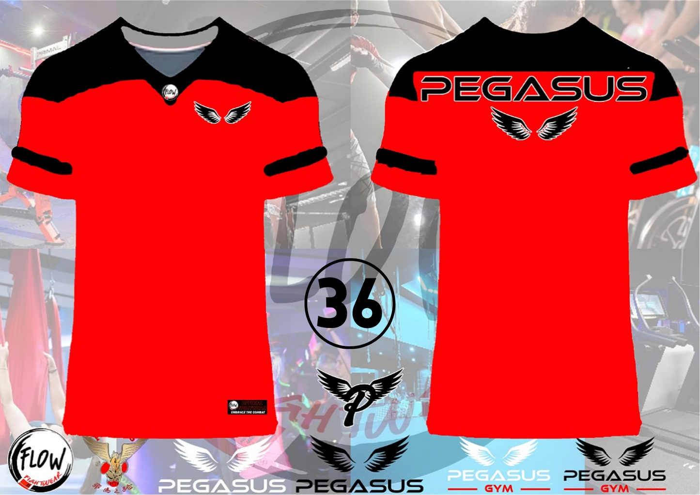 Pegasus Gym - Oversized Tshirt