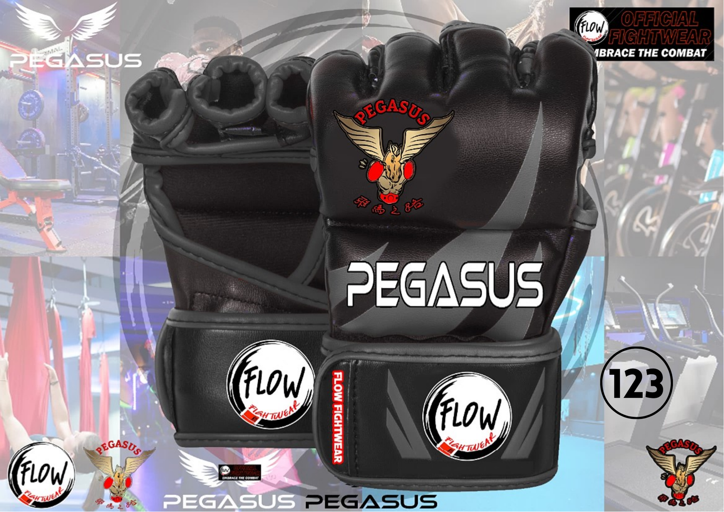 Pegasus Gym - 4oz MMA Gloves