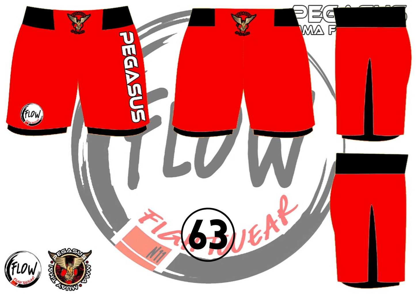 Pegasus Gym - MMA Shorts