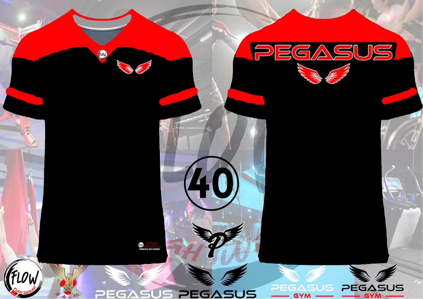 Pegasus Gym - Oversized Tshirt