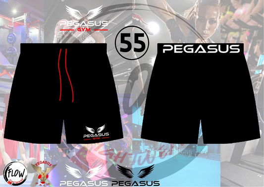 Pegasus Gym - Gym Shorts