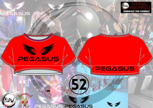 Pegasus Gym - Crop Tee