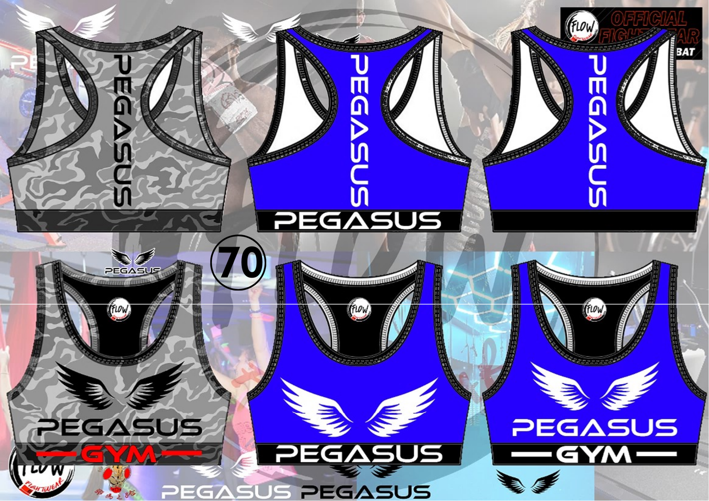 Pegasus Gym - Crop Top