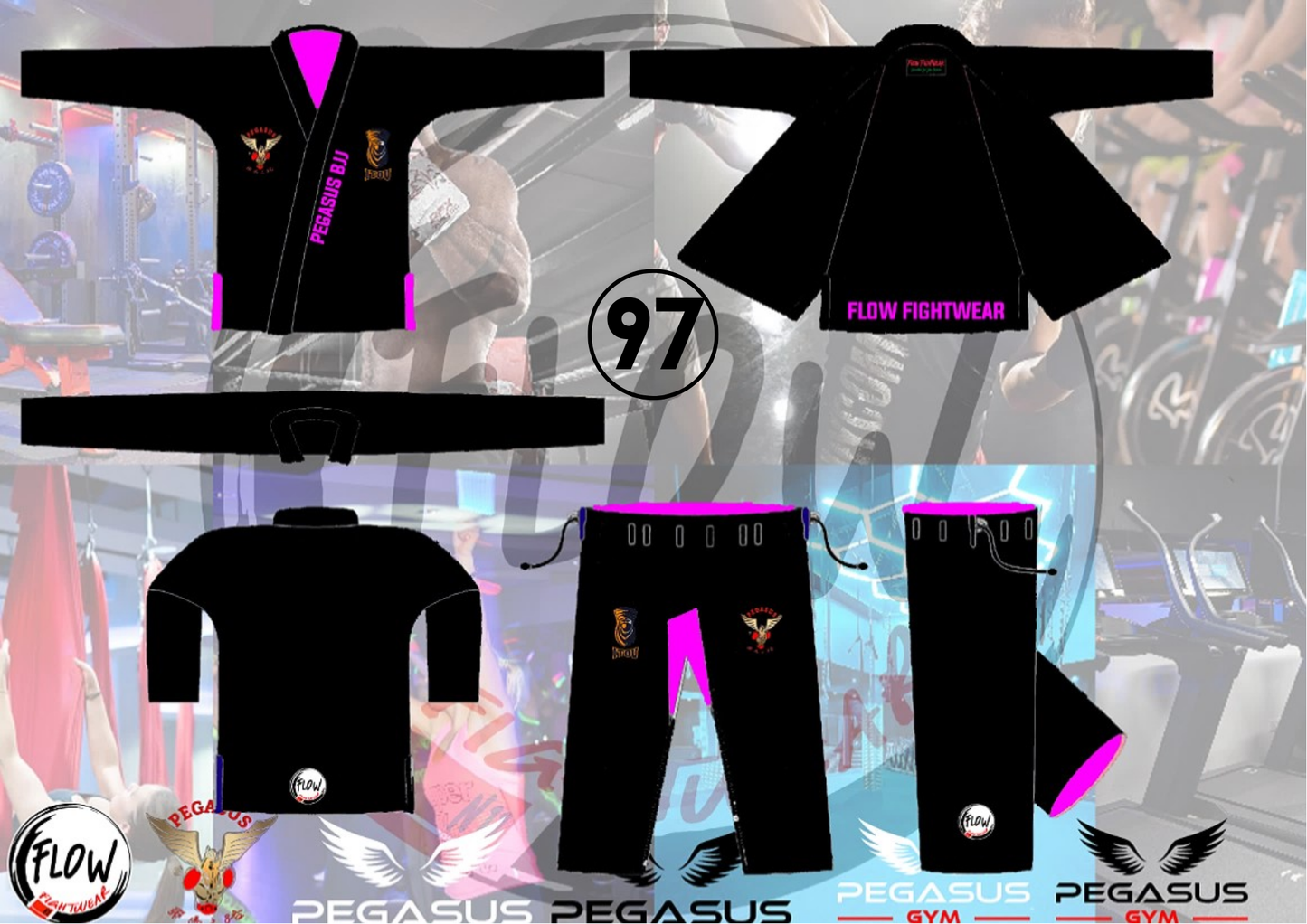 Pegasus Gym - BJJ GI (Ladies)