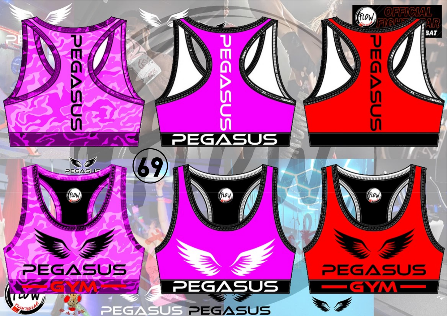 Pegasus Gym - Crop Top