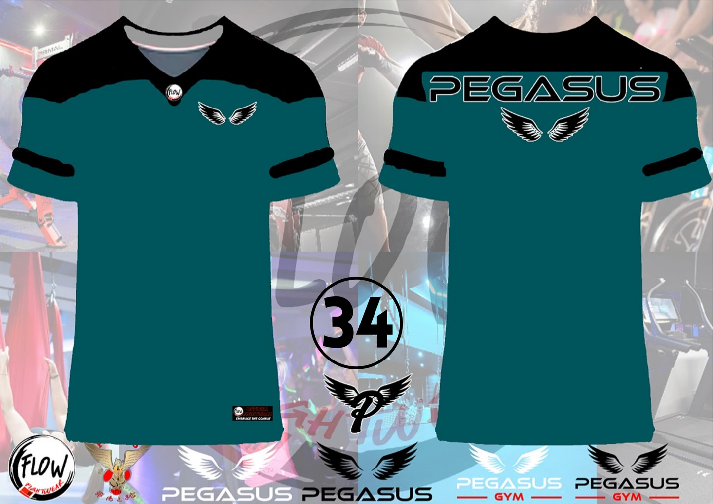 Pegasus Gym - Oversized Tshirt