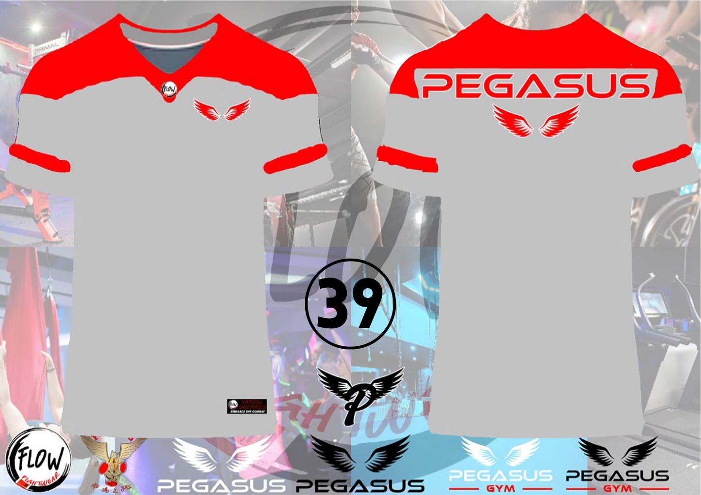 Pegasus Gym - Oversized Tshirt