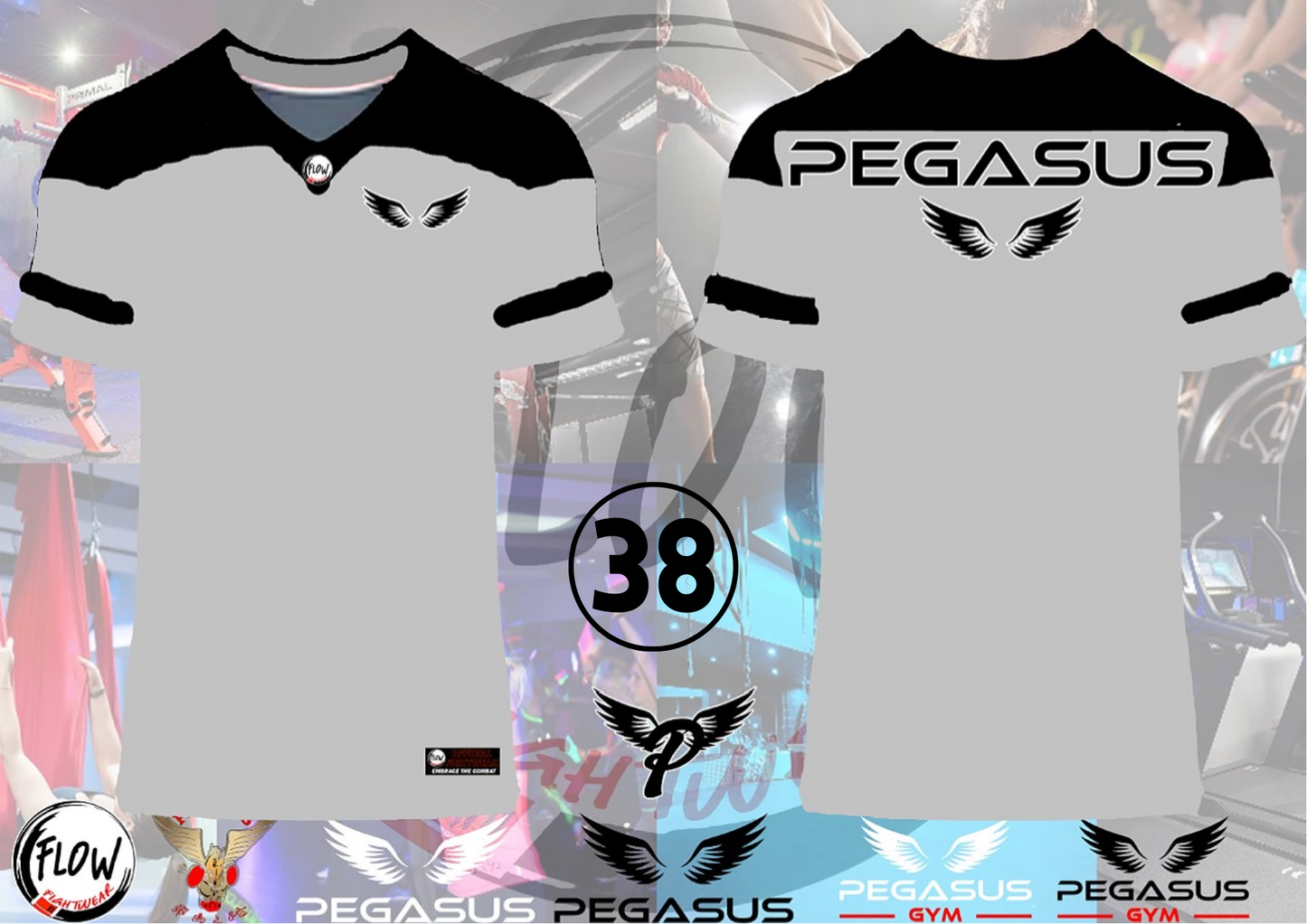 Pegasus Gym - Oversized Tshirt