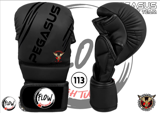 Pegasus Gym - 8oz MMA Gloves