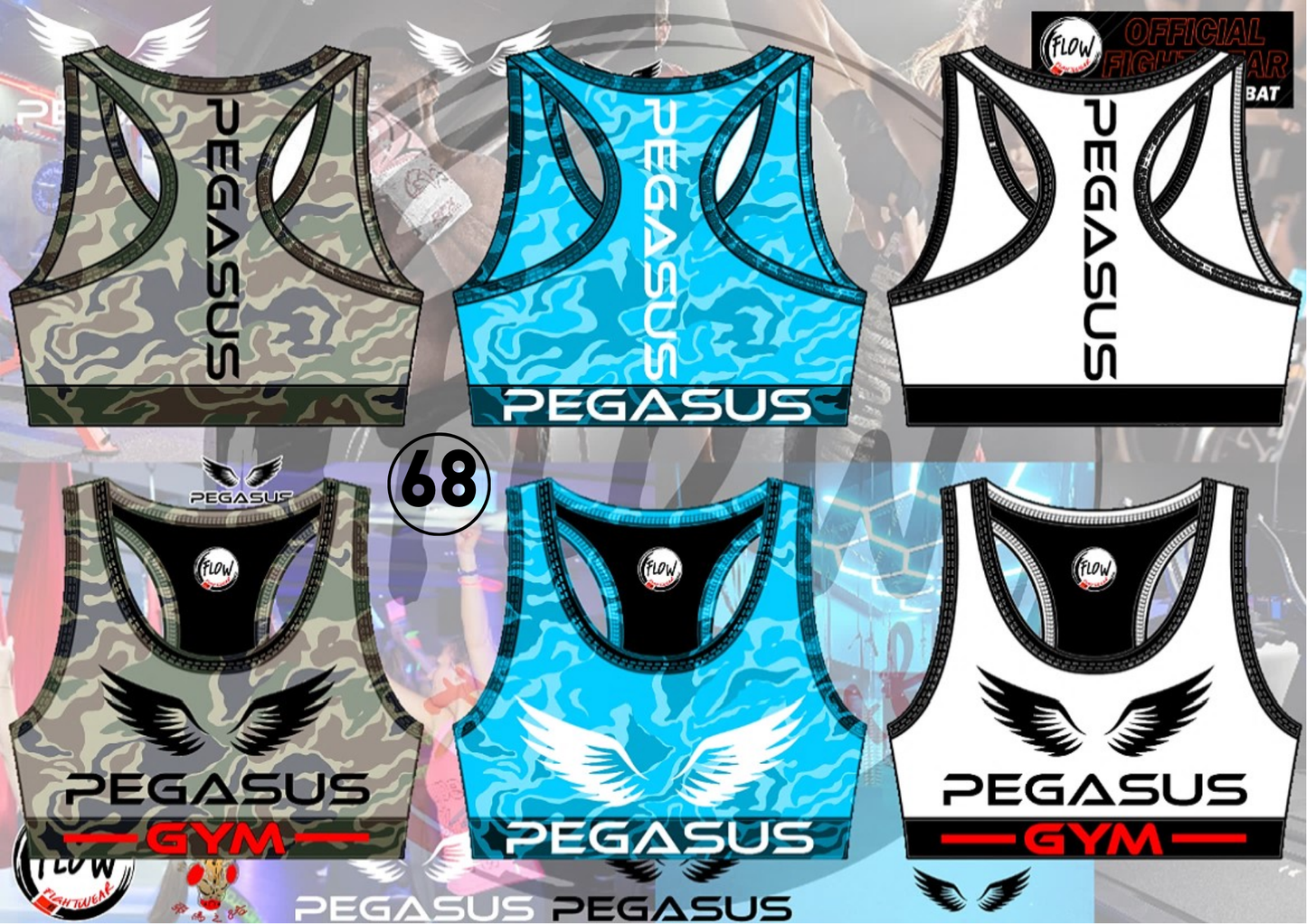 Pegasus Gym - Crop Top