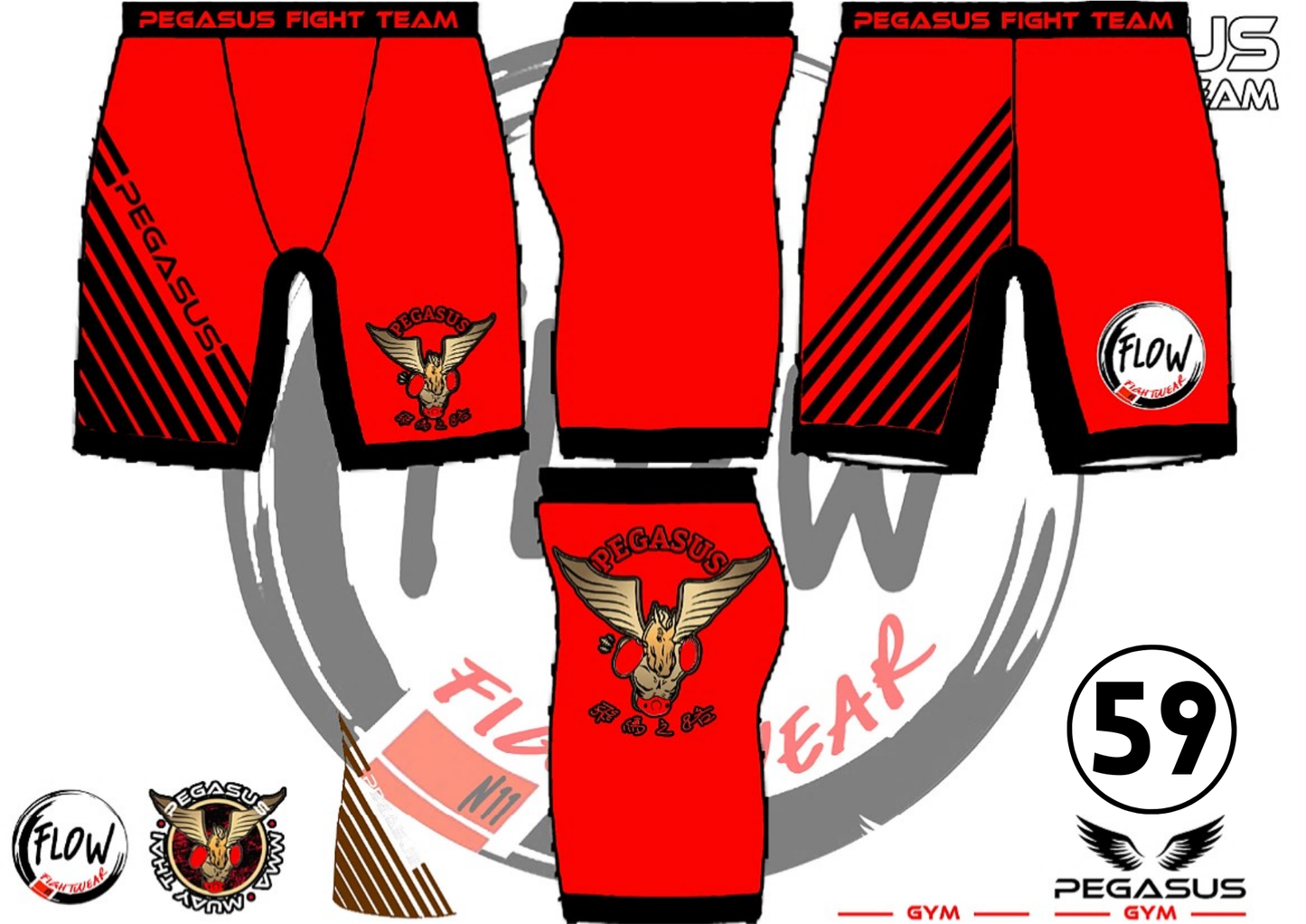 Pegasus Gym - UnderArmour Shorts