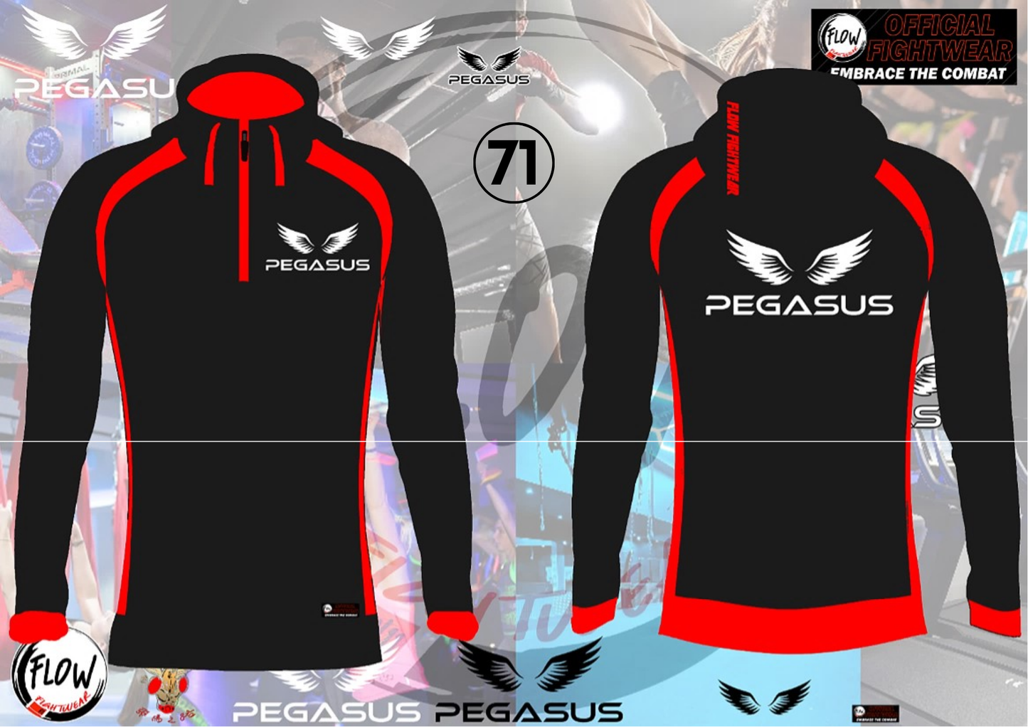 Pegasus Gym - Half Zip Hoody