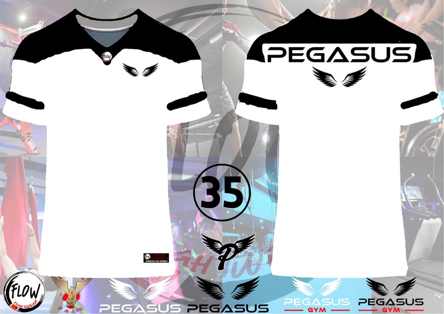 Pegasus Gym - Oversized Tshirt