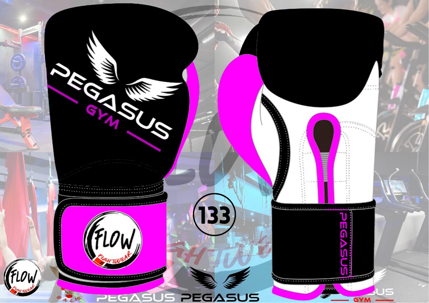 Pegasus Gym - 10oz Boxing Gloves (Gym Logo)