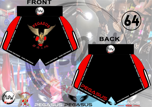 Pegasus Gym - Muay Thai Shorts