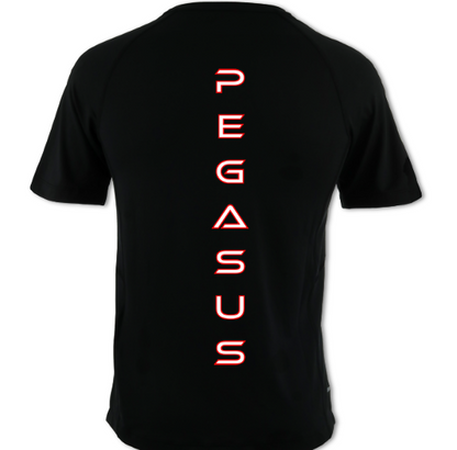Adult Men's Cool Dry T-Shirt