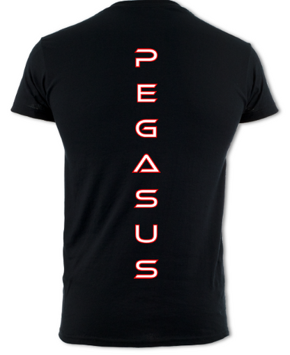 Adults Unisex T-Shirt (Cotton)