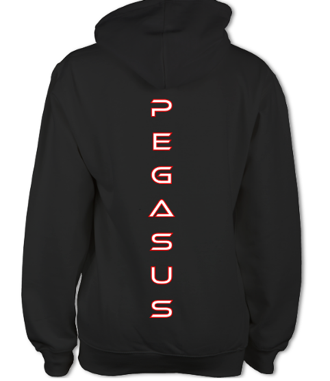 Unisex Pegasus Hoodie