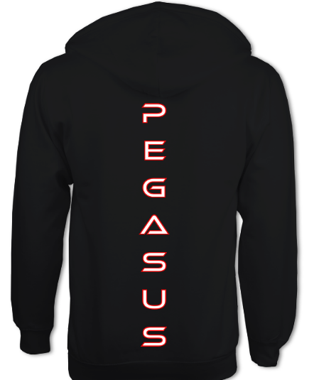 Pegasus Kids Zip Up Hoodie