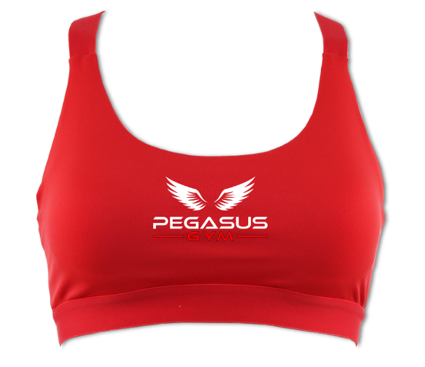 Pegasus Sports Bra