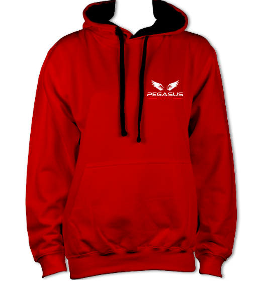 Unisex Pegasus Hoodie