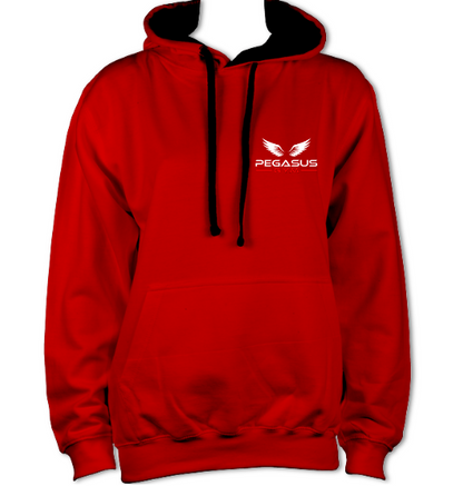 Unisex Pegasus Hoodie
