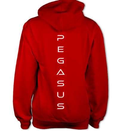 Unisex Pegasus Hoodie