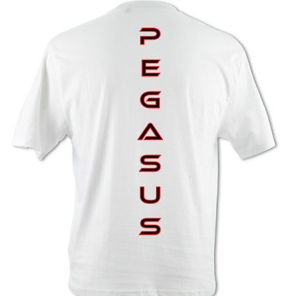 Pegasus Legends T-Shirt - (Oversized)